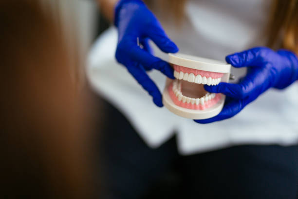 Best Dental Exams and Cleanings  in Signal Mountain, TN